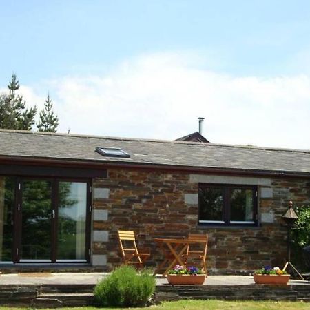 Wilson Cottage Dartmoor Tavistock  Exterior photo